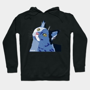 Stylized Colorful Cat Hoodie